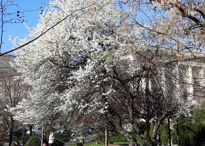 Apartment The Location