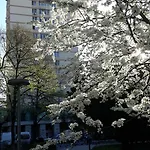 アパート The Location