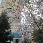 The Location * ブカレスト