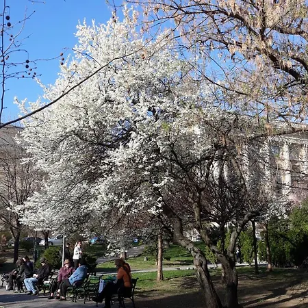 Διαμέρισμα The Location