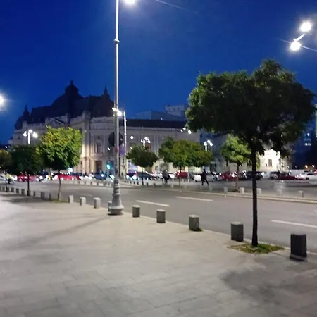 The Location *