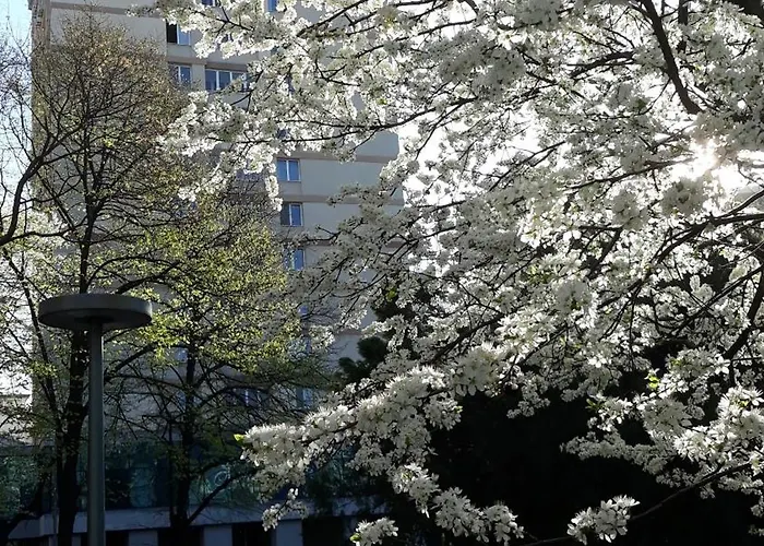 Διαμέρισμα The Location